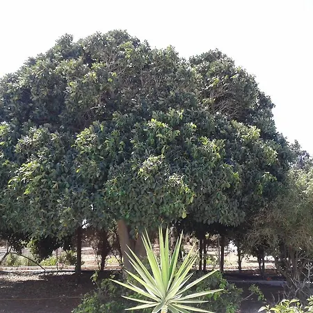 Wind Paros ヴィラ Pounda