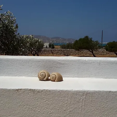 Wind Paros Pounda