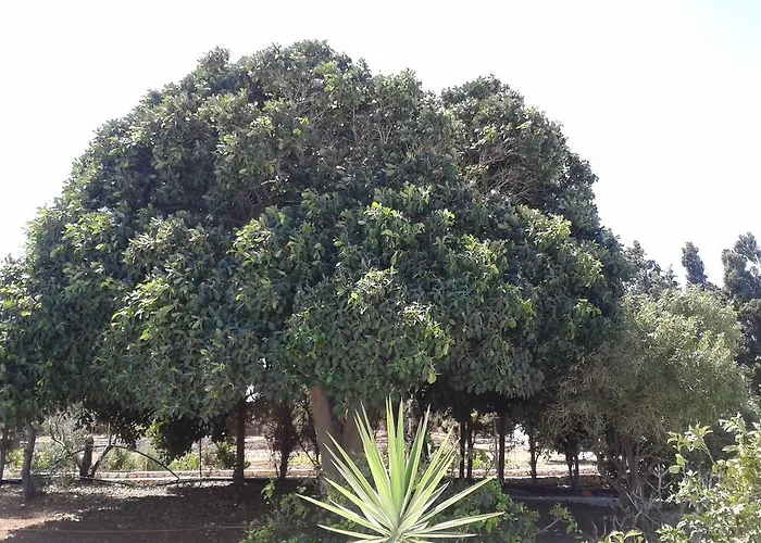 Wind Paros ヴィラ Pounda